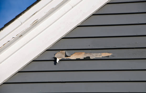Best Attic Cleanout  in Grenelefe, FL